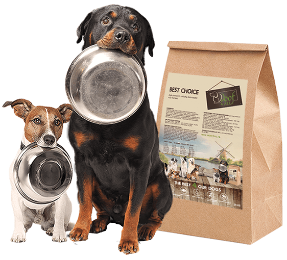 Sustainable Pet Food Packaging Options